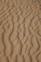 The sand in the desert