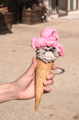 ice cream in the hand