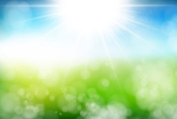 Obraz premium 初夏 新緑 背景 