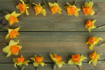 Fresh daffodils on a wooden background