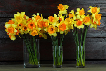 Daffodils in a bottle on a wooden background