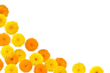 Decorative sunflower frame
