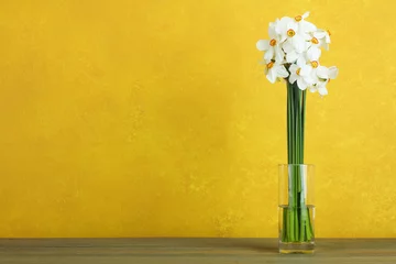 Photo sur Plexiglas Narcisse Daffodils in a glass vase on a wooden background