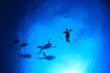 Obraz na płótnie Canvas Scuba diving with sea turtle silhouette