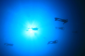 Scuba diving underwater: divers silhouette and sun