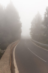Fototapeta premium Empty road / street in thick fog