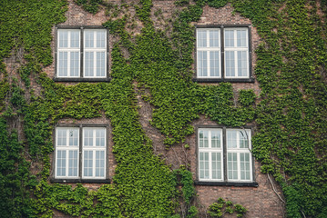 Fototapeta na wymiar Windows in an old country house 
