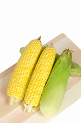 Yellow sweet corn with white background