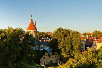 Towers and Roofs of Old Tallinn among Greenery