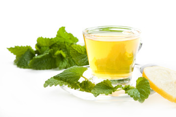 Zitronenmelisse Tee mit frischen Kräutern und Zitronenscheibe