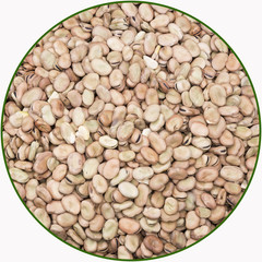Dried faba bean