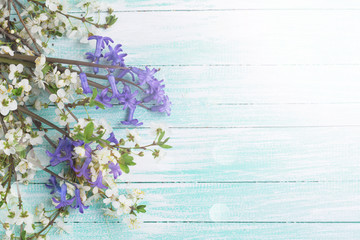 Flowering tree branches and blue flowers