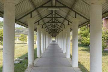 Covered walkway in the park