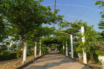 walkway with the green tunnel of trees