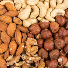 Set of nuts in basket