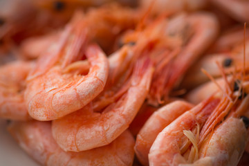 Cooked shrimp on white plate. Shallow depth of field.