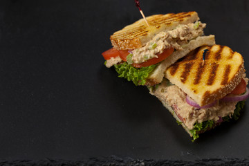 Grilled Tuna Panini Sandwich. Selective focus.
