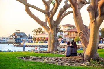 Foto auf Acrylglas San Diego Waterfront Public Park, Marina and the San Diego Skyli © f11photo