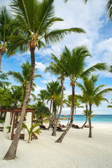 Fototapeta na wymiar Palm and tropical beach in Tropical Paradise. Summertime holiday