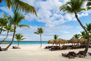 Obraz premium Palm and tropical beach in Tropical Paradise. Summertime holiday
