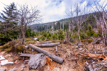 Góry, Śnieżka, Karkonosze