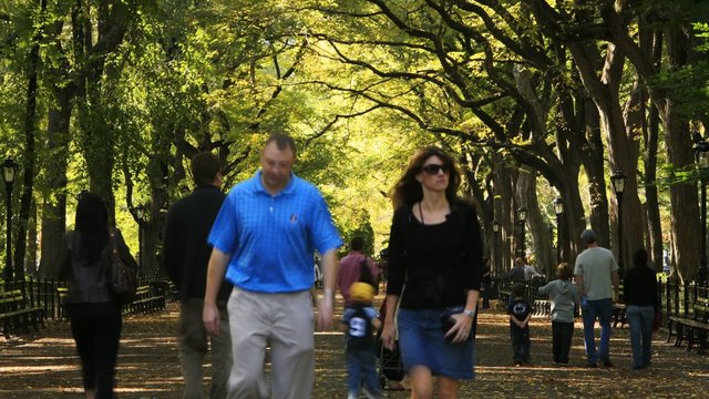 people moving through a park