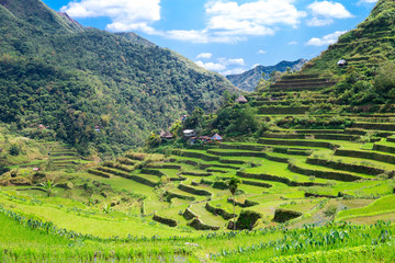 Fototapeta na wymiar Rice terraces in the Philippines. The village is in a valley amo