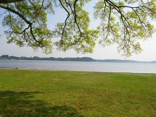 涸沼　親沢公園