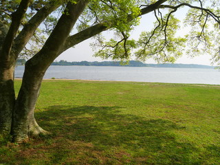 Fototapeta premium 涸沼 親沢公園
