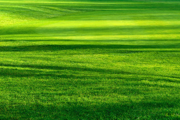 Obraz premium Światło i cień na pięknym trawniku