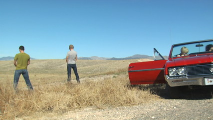 stopping to urinate on a road trip