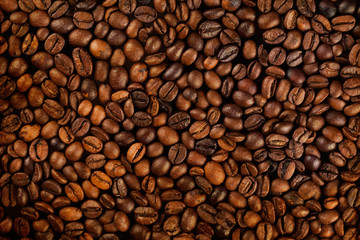 roasted coffee beans