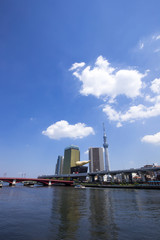Naklejka premium 東京スカイツリー