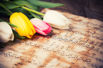 Tulips on a music notes paper