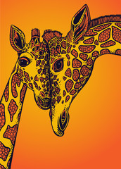 Fototapeta premium Vector graphic illustration with two giraffes in love
