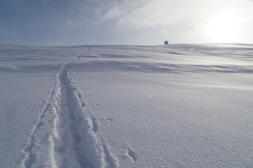 Trail in the snow in the mountains