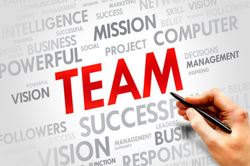TEAM word cloud, business concept