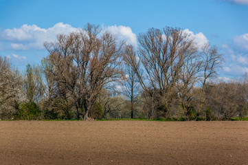 Dormagen - Landschaft