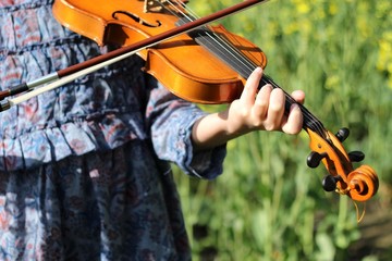 playing the violin in the field