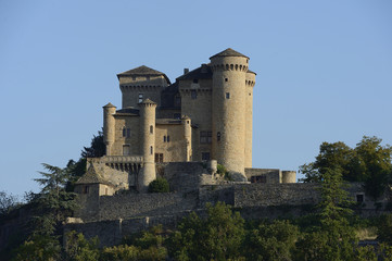 Fototapeta na wymiar chateau de cabrières