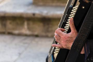 Street musician playing an accordion