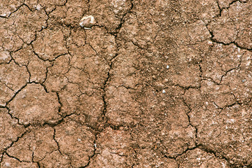 Cracked Earth