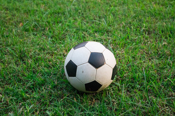 Fototapeta premium old football on grass