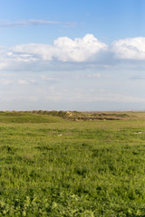 Fototapeta na wymiar Spring in the steppes of Kazakhstan