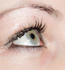 Obraz premium girl eye. close-up