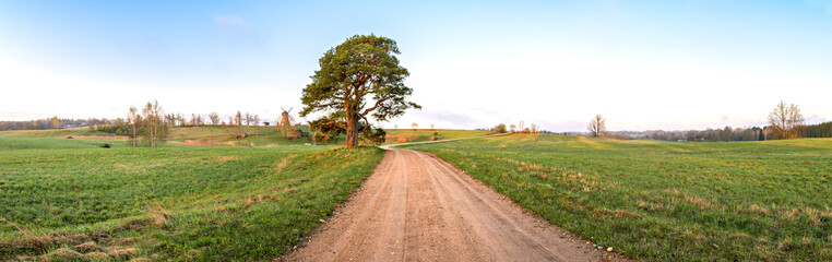 Countryside road by spring, panoramiv view