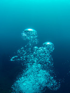 Bubbles From A SCUBA Diver