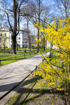 Planty park walk in springtime, Krakow Poland