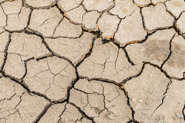 dry soil cracked earth texture