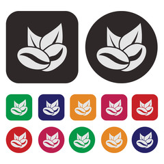 Coffee bean icon / Coffee seed icon / Coffee icon